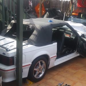 Meet your Posher, Benjamin